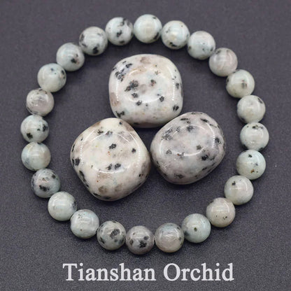Dragon Blood Jasper Elastic Beaded Bracelet for Men & Women